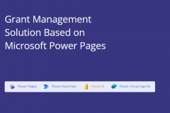 Grant Management Solution Based on Power Platform